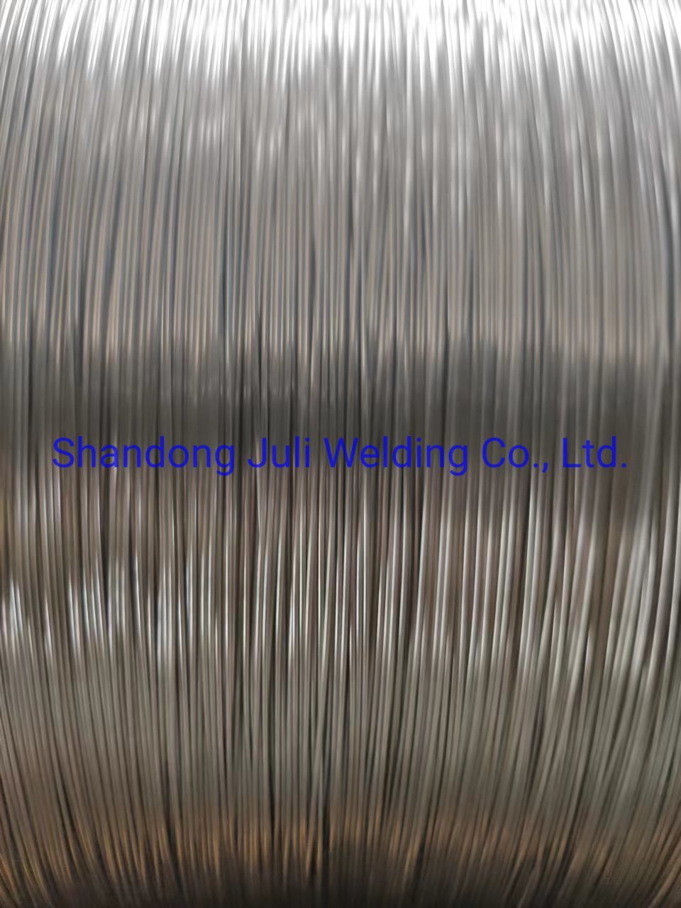 Low Carbon Steel Wire/Cold-Drawn Wire Rod/High Tensile Strength 304 Half Hard Stainless Steel Wire (EPQ)