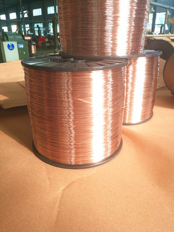 Steel Wire Rope/Nail Wire/Coil Nail Wire